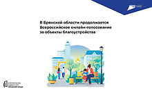 В&nbsp;Брянской области продолжается Всероссийское онлайн-голосование за&nbsp;объекты благоустройства