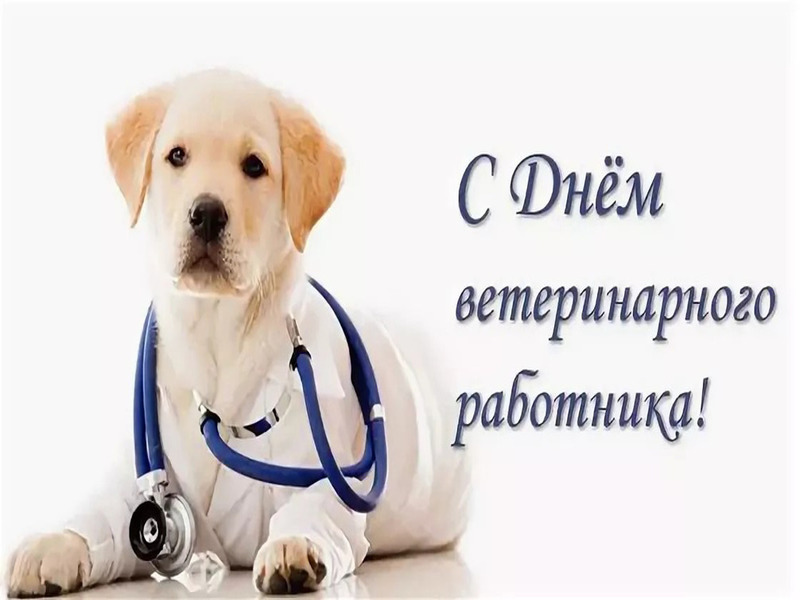 a1083b6f1ebdeae3b0cacfa989fbeff1.jpg